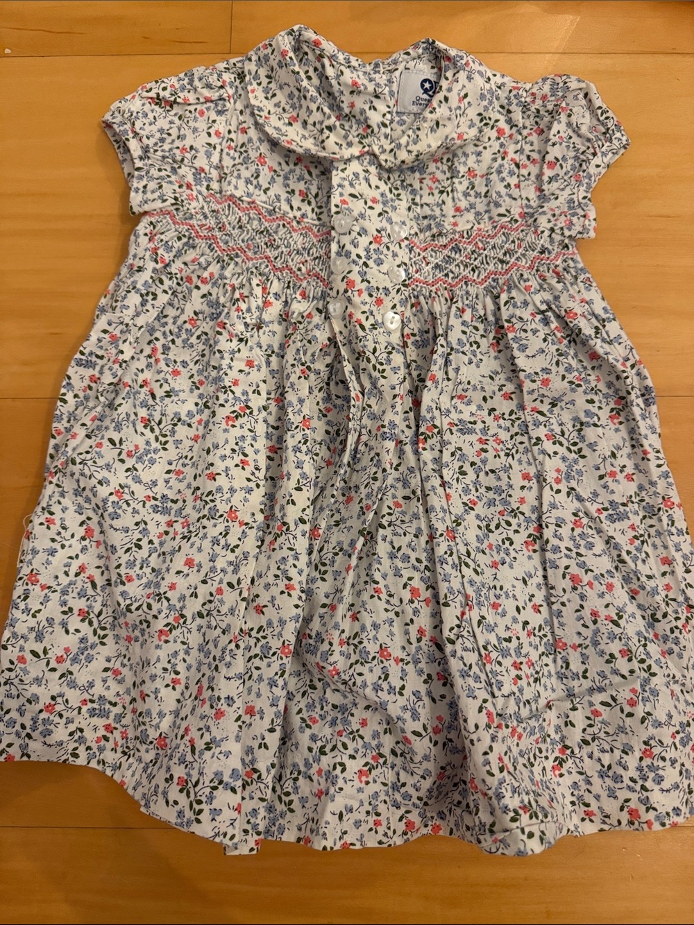 Question Everything Smocked Dress